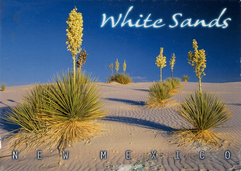 postcard