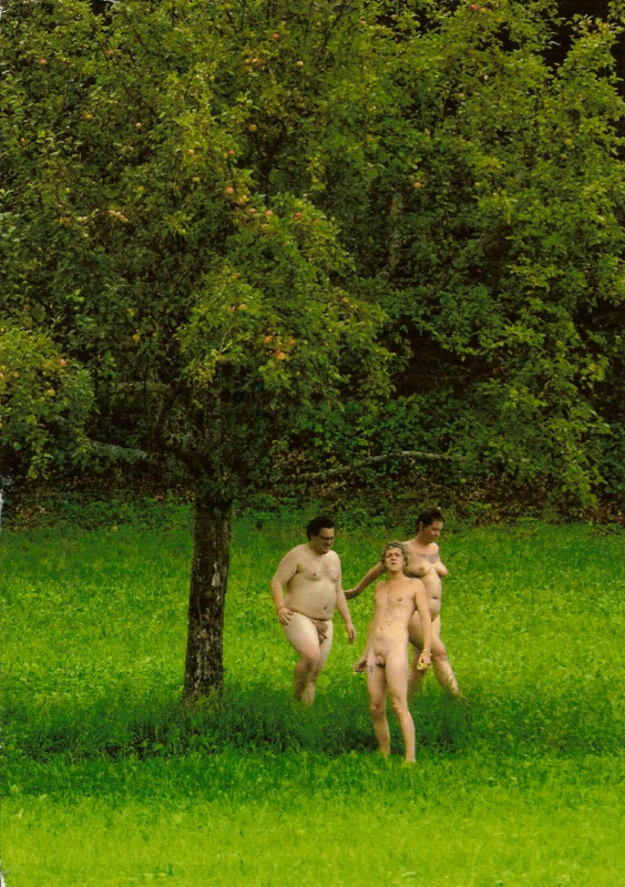 postcard