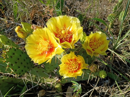 IMG 20250613 184939867