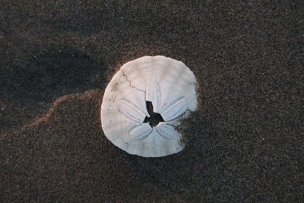IMG 5535
