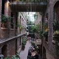 IMG 0240
